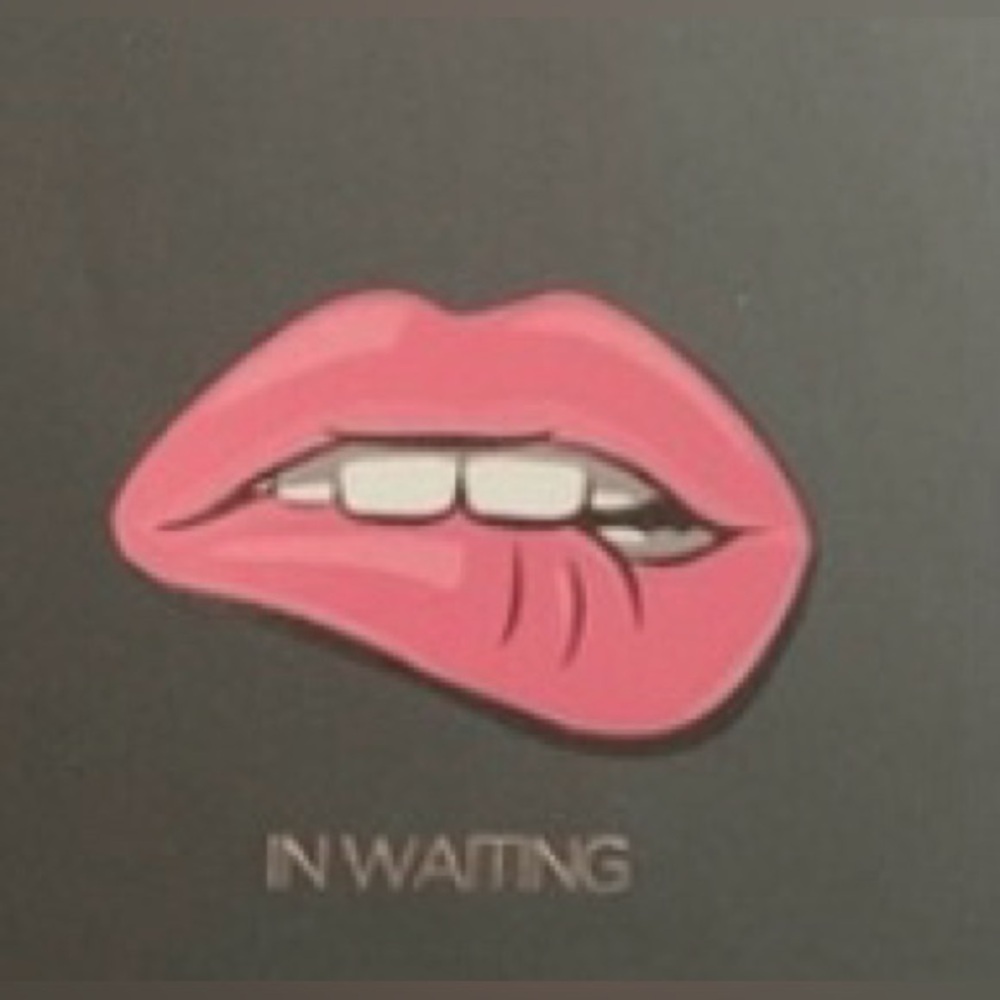 Makeup Revolution “In Waiting” Metallic lip kit